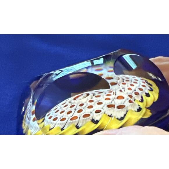 VTG St. Louis 1981 Mille Fiori Paperweight Iran Hostages 444 Days Collectible - Picture 4 of 10